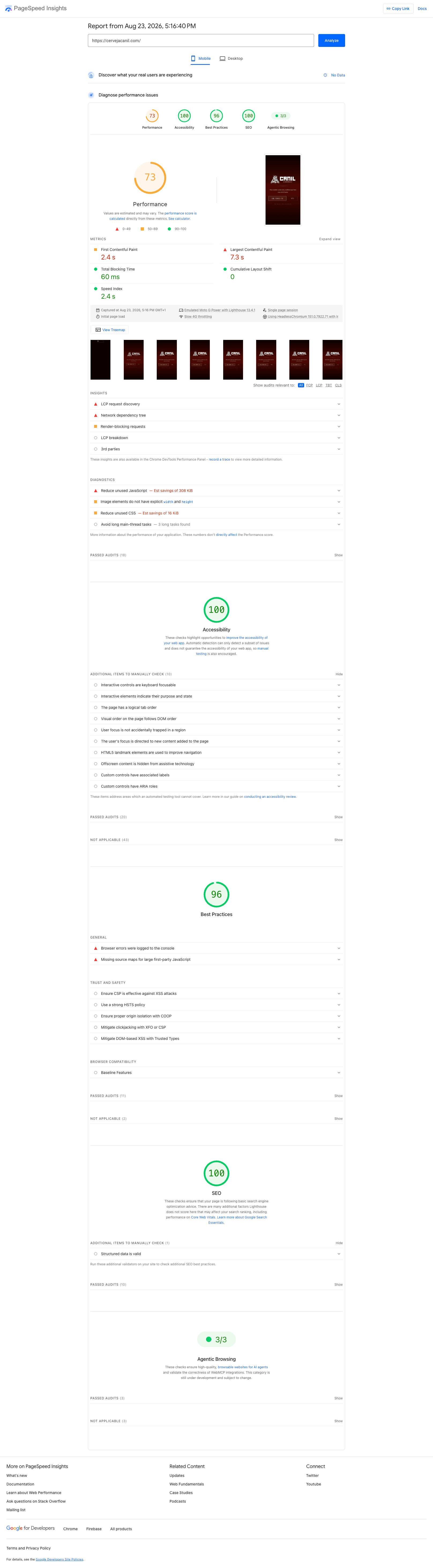 Relatório PageSpeed Insights Mobile da Cerveja Canil, score 73